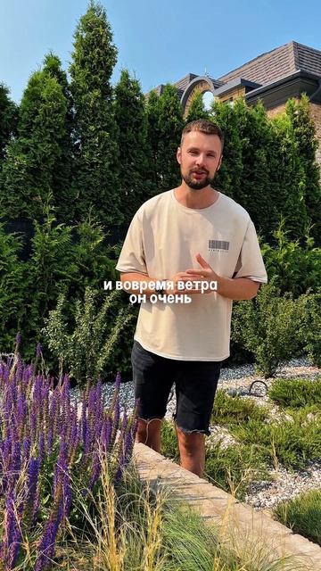 Сочетание для вашего сада