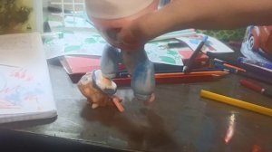 мое видео