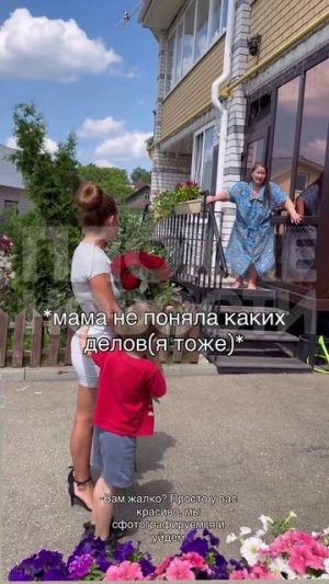 крым цветы клумба