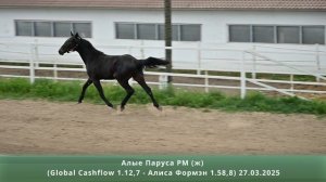 Алые Паруса РМ (ж) (Global Cashflow 1.12,7 – Алиса Формэн 1.58,8) 27.03.2025