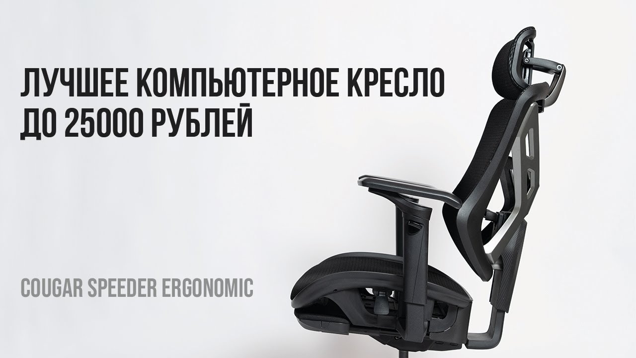 Лучшее компьютерное кресло до 25000 рублей. Cougar Speeder Ergonomic.