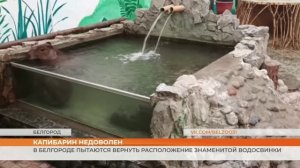 В Белгороде пытаются вернуть расположение знаменитой водосвинки