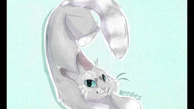 Призы Костезвезду, Иголке и Северному Туману (Вечерней Вьюге)