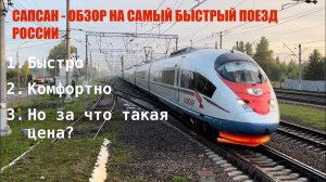 Едем в самом быстром поезде России «Сапсан» - за что такая цена? Обзор на поезд