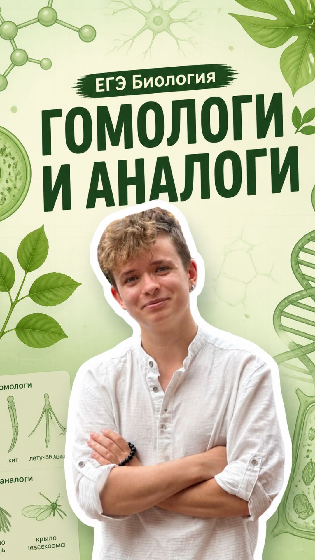 🧬 Гомологи и аналоги на ЕГЭ по биологии — тема, в которой ошибаются все
