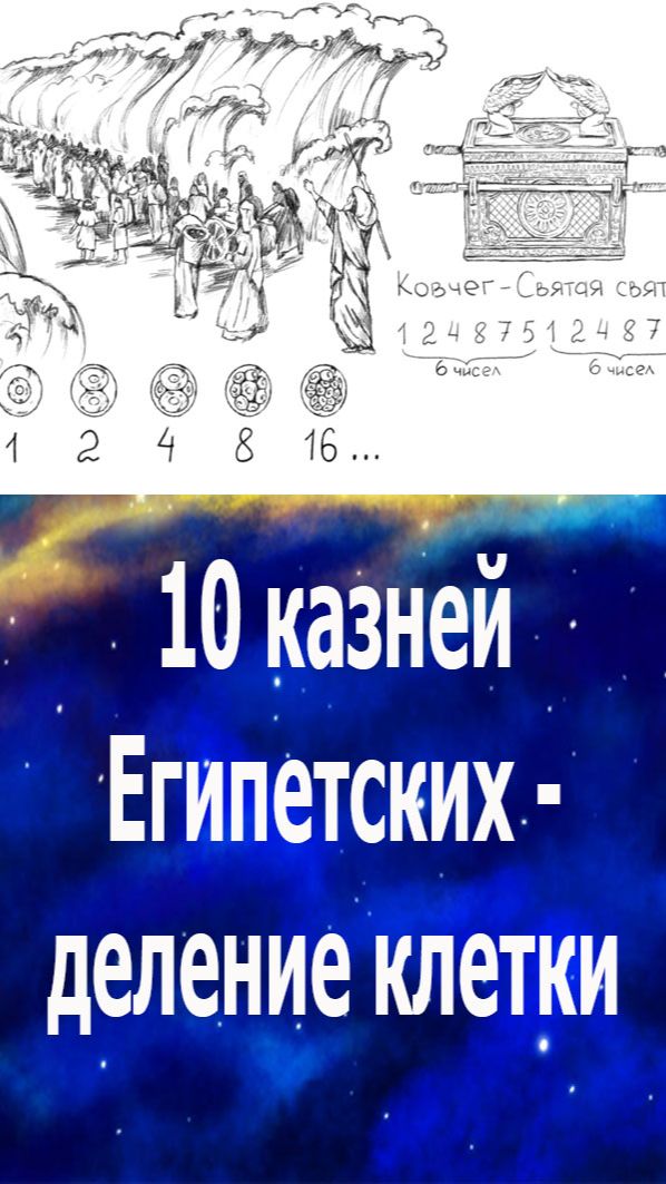 Тайна Библии:10 казней Египетских - описание деления клетки, рождение жизни. #бог#жизнь#