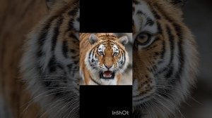 А ты улыбнись :)