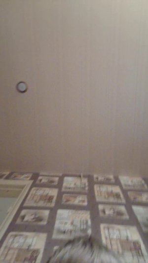 Roma1.2503