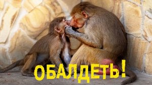 Анфиса в лапах ЗАБОТУШКИ! Люся ВЫТВОРЯЕТ такое, что мы ОБАЛДЕЛИ!