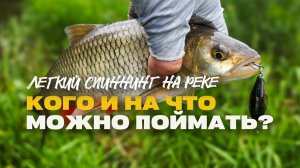 Рыбалка на Легкий Спиннинг на Реке Кого и на Что Можно Поймать Снасти и Приманки на Лето