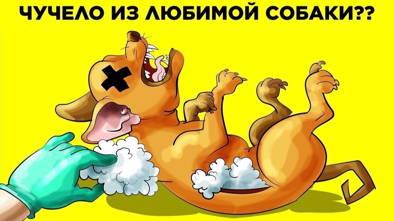 Странные Питомцы и Их Хозяева смотреть онлайн