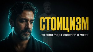 Твоя миндалина управляет тобой — стоики знали как это сломать