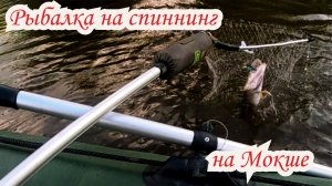 Рыбалка на спиннинг на Мокше