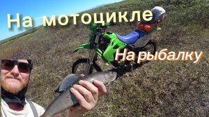 Воркута-Хальмер-Ю. Еду один. Рыбалка на хариуса.
