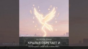 Авторская песня «А все есть суета?»