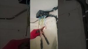Замена проводки в комнате и коридоре, перенос добавление розеток, выключателей пер.Бетонный д.12