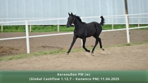 Кегельбан РМ (ж) (Global Cashflow 1.12,7 – Калипсо РМ) 11.04.2025