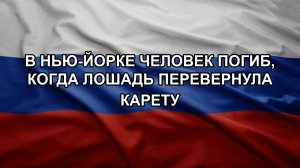 В Нью-Йорке человек погиб, когда лошадь перевернула карету