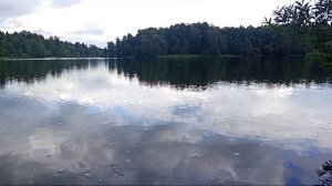Алексеевский пруд на Лосином острове . Часть 2 .