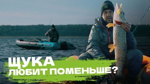 Щука любит поменьше?