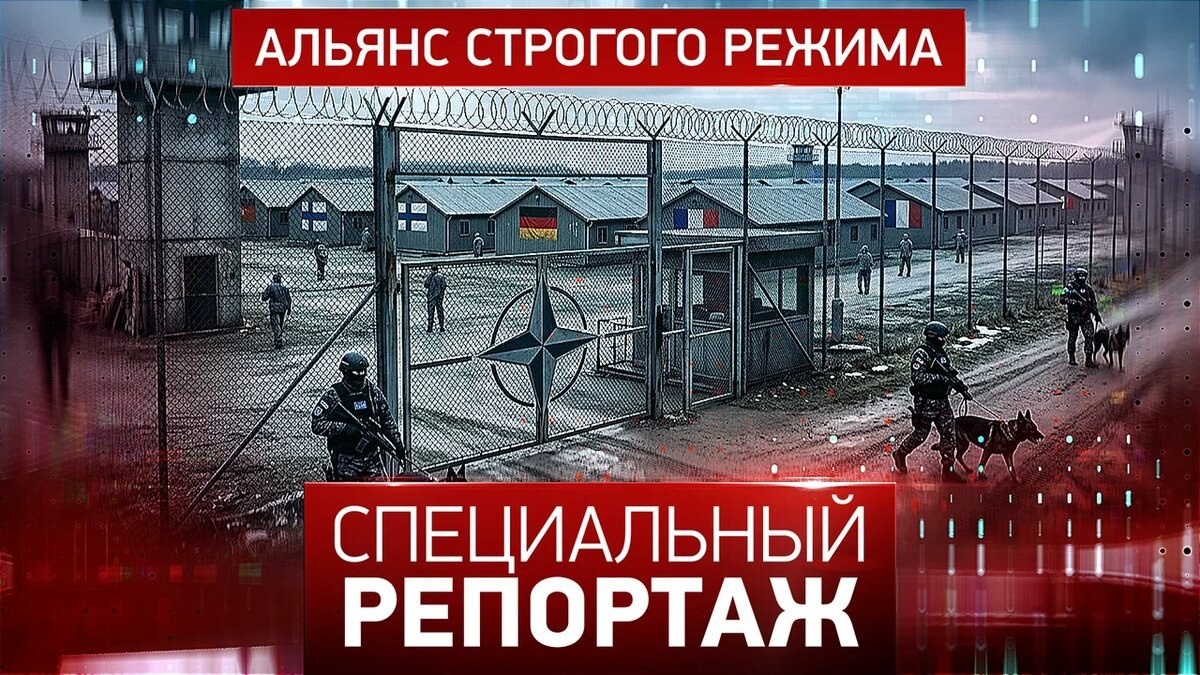 Альянс строгого режима смотреть онлайн