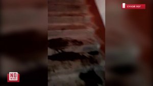 Вода из дырявой крыши хлещет в электрощитки