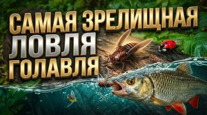 ВСЯ ПРАВДА О ТОПВОТЕРАХ! КОГДА, ГДЕ И НА ЧТО ЛОВИТЬ ГОЛАВЛЯ