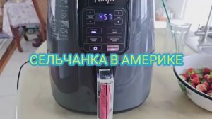 Сельчанка в Америке СЕЮ ОГУРЦЫ ТРЕТИЙ РАЗ
