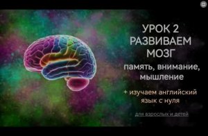 Развиваем мозг. Урок 2