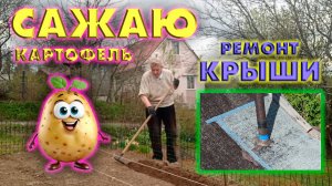 Сажаю картофель, герметизирую заплатку на крыше