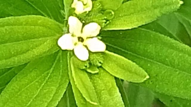 1000016702.mp4 смотреть онлайн