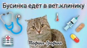 😻Бусюша едет в вет.клинику😻