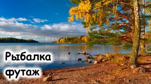 Ленинградская область рыбалка