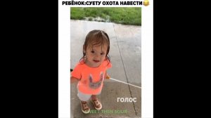 #смешныевидео -1516