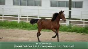 За Нами РМ (к) (Global Cashflow 1.12,7 – Заступница 2.15,3) 06.05.2025