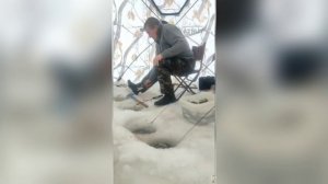 60 кг (за день) зубаря на блёсны от Mr.Musurok👍