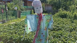 Спасаем ягоду от птиц. Половичок крючком.