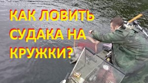 Как ловить судака на кружки!?
