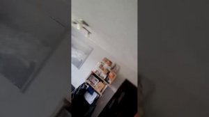 Зоопарк новый