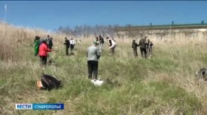 Зелёный щит Ставрополья расширяется
