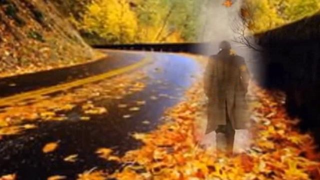Осень любви листопад Нэтти Николь, муз. и исп. Самуил Фрумович