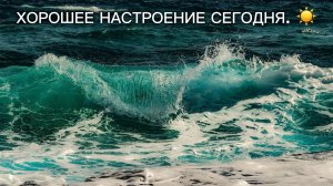 🏆 ХОРОШЕЕ НАСТРОЕНИЕ И БОДРОСТЬ НА ВЕСЬ ДЕНЬ ☀️ Позитив, Энергия, Антистресс.