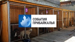 События Прибайкалья от 18.06.2026 | Закон об эвтаназии | Наградили медработников | Конец недели моды