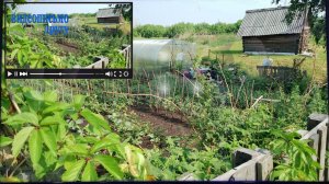 Видеописьмо другу или... обзор нашего участка