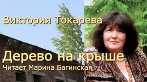 Аудиокнига Виктория Токарева _Дерево на крыше_ часть 1 Читает Марина Багинская