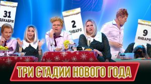 Номер Три стадии Нового года – Концерт Много шубы из ничего