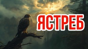 Ястреб | таежный рассказ