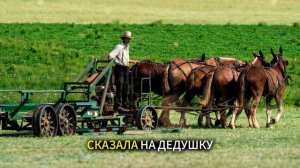 Истории из жизни | Аудио рассказы | «Время такое было» — история о молчании   | Жизненные истории