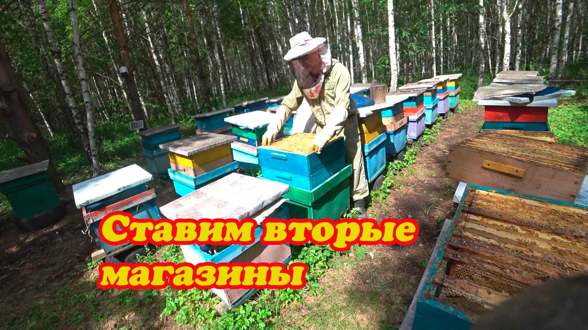 ПОСТАНОВКА ВТОРЫХ МАГАЗИНОВ НА ТОЧКЕ №1 смотреть онлайн