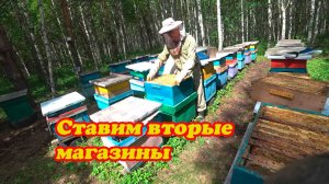 ПОСТАНОВКА ВТОРЫХ МАГАЗИНОВ НА ТОЧКЕ №1